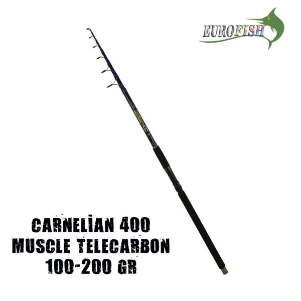 Carnellian Olta Kamışı - Görsel 3