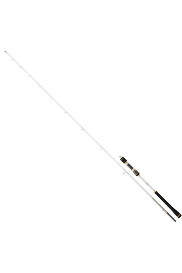 daiwa Megaforce CF 180cm 30-80gr Tekne ve Jig Kamışı - Görsel 2