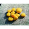 MIDI POPUP SWEETCORN YELLOW UNFLAVOURED