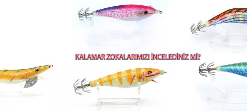 46588-46399-zoka-slider